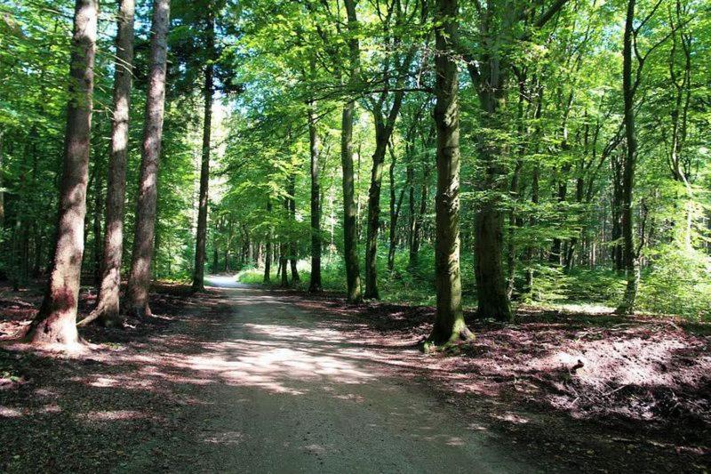 Chalet 'T Veluws Stulpje "Geniet, Ontspan En Droom Even Lekker Weg!" Putten Esterno foto